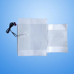 12V car chauffage des plaquettes anti-benture et imperméable à l'eau pour tous les véhicules 23cm*40cm/23cm*30cm